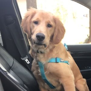 Meet your Posher, Katie